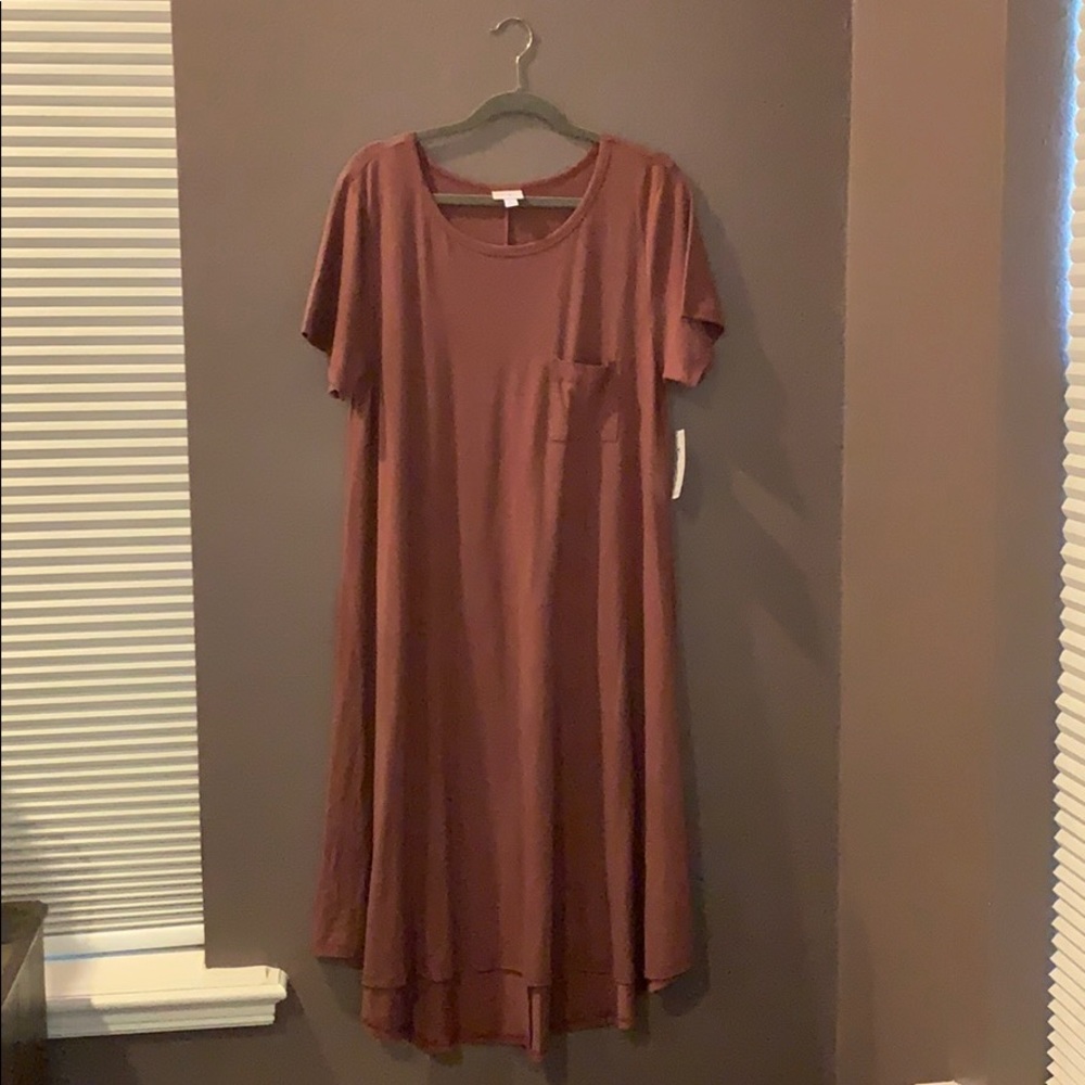 NWT LulaRoe Carly Dress